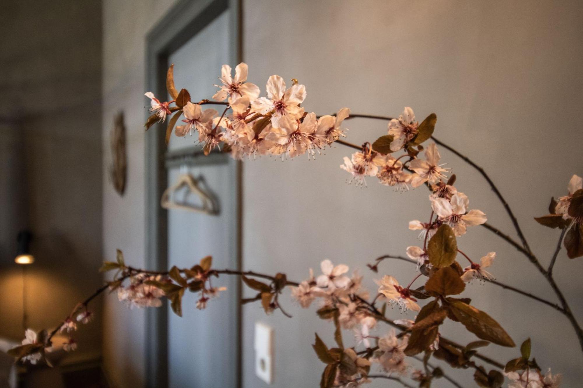 Ferienwohnung Gutshaus Zarchlin Barkhagen Zimmer foto